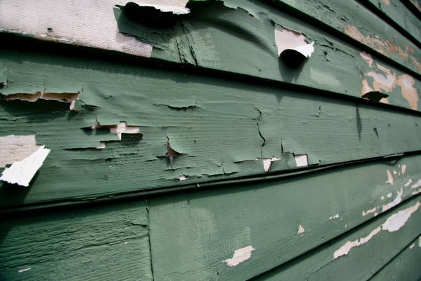 Seymour, TX Siding Installation & Repair Company