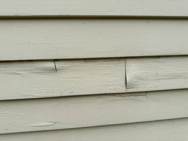 Affordable siding repair and maintenance services in Seymour, TX